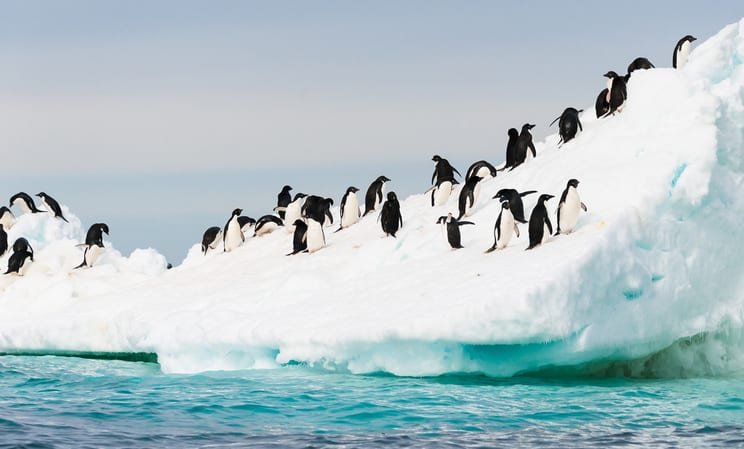 Antarctica Private Yacht Charter