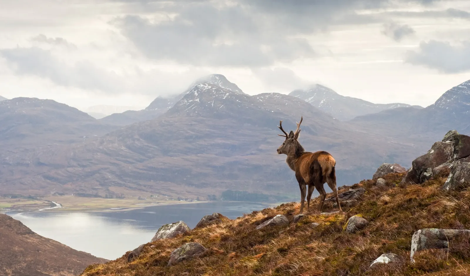 Scotland